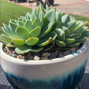 Meet your Posher, Heidi